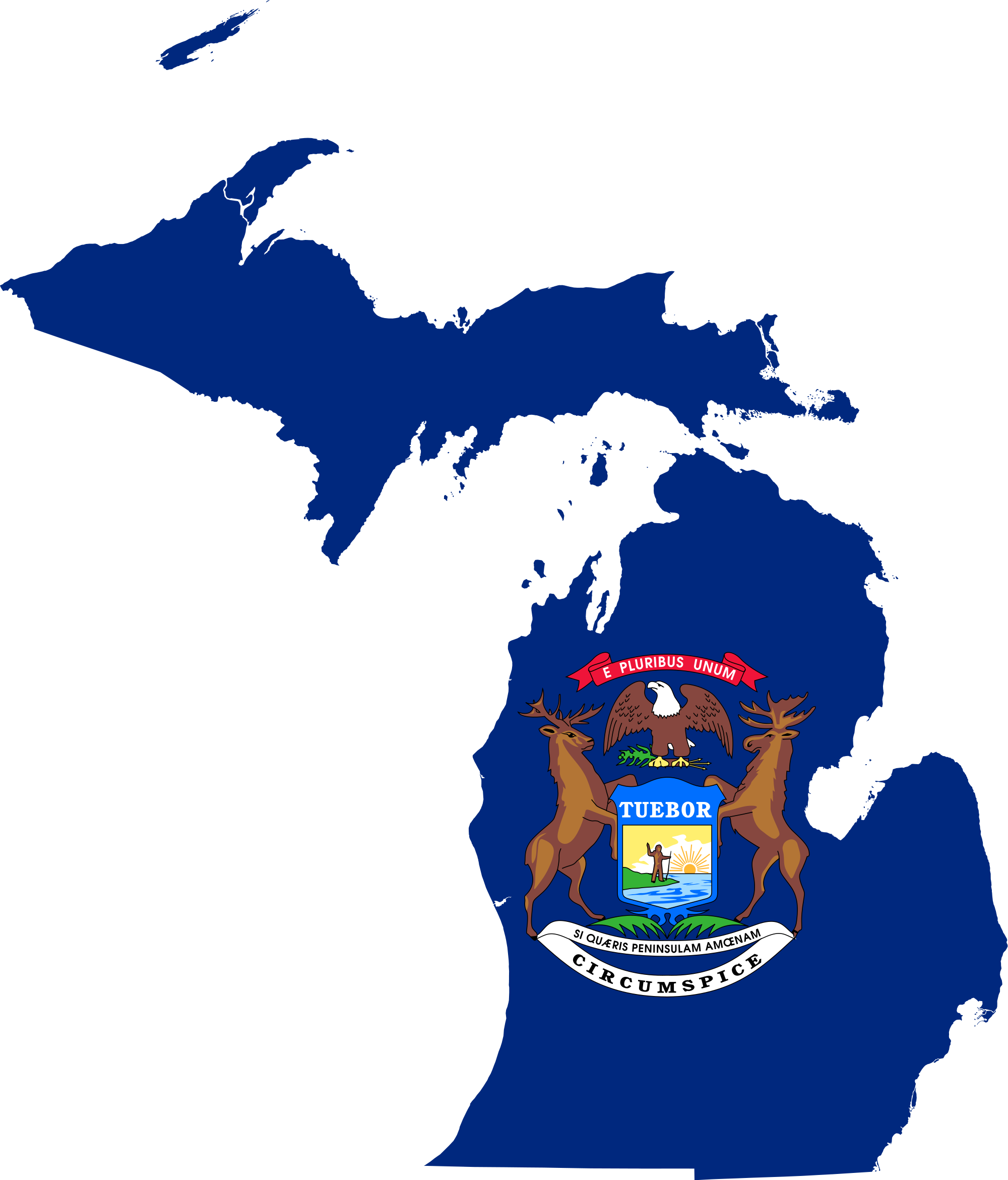MS Blazor Visual Studio development-Illinois